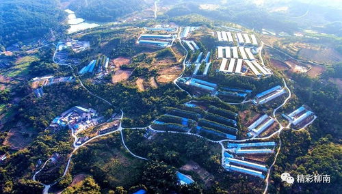 總投資17.3億元,開竣工19個(gè)項(xiàng)目,螺螄粉小鎮(zhèn)建設(shè)進(jìn)入新階段